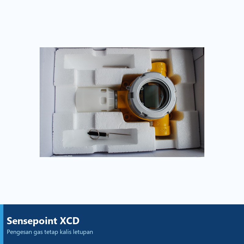 Pengesan gas toksik tetap Sensepoint XCD